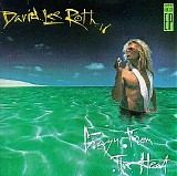 David Lee Roth - Crazy from the Heat