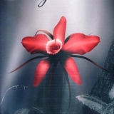 Nightwish - Amaranth