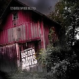 Boo Boo Davis - Undercover Blues @320