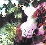 Pale Saints - Comforts of Madness