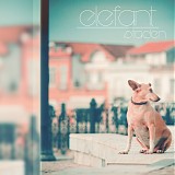 Elefant - Staden