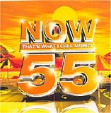 Various artists - Now That's What I Call Music 55