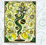 Steve Earle - I Feel Alright