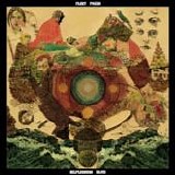 Fleet Foxes - Helplessness blues
