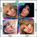 Poison - Look What the Cat Dragged In