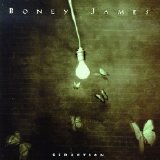 Boney James - Seduction