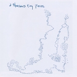 Sean Hayes - a thousand tiny pieces