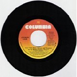 Janis Ian - Fly Too High 7"