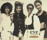 Ebony Vibe Everlasting - Groove Of Love