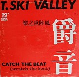 T. Ski Valley - Catch The Beat