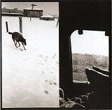 Braveyoung - We Are Lonely Animals