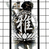 Miyavi - This Iz The Japanese Kabuki Rock