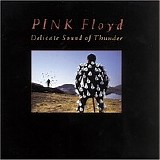 Pink Floyd - Delicate Sound of Thunder CD2