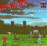 Mr. Mister - Welcome to the Real World
