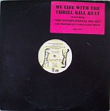 My Life With The Thrill Kill Kult - The International Sin Set