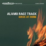 Alamo Race Track - Birds At Home