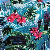 Dirty Beatniks - One One Seven In The Shade
