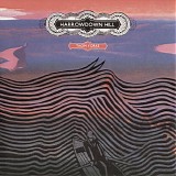 Thom Yorke - Harrowdown Hill