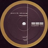 Patrik Skoog - Therion