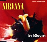 Nirvana - In Bloom