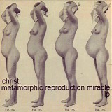 Christ. - Metamorphic Reproduction Miracle