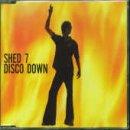 Shed Seven - Disco Down