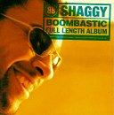 Shaggy - Boombastic