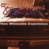 Gin Blossoms - New Miserable Experience