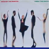 Voice Of The Beehive - I Walk The Earth