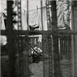 Paul McCartney - Chaos And Creation In The Backyard