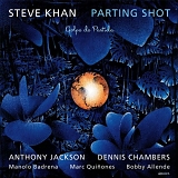 Steve Khan - Parting Shot