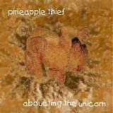 The Pineapple Thief - Abducting The Unicorn
