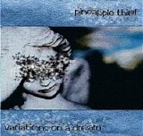 The Pineapple Thief - Variations On A Dream