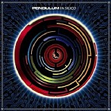 Pendulum - In Silico