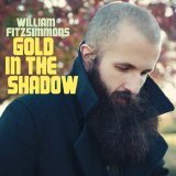 William Fitzsimmons - Gold In The Shadow - Retail
