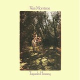 Van Morrison - Tupelo Honey  (B2B Vinyl)