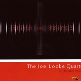 Joe Locke - Sticks and Strings