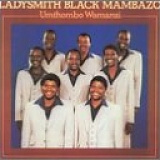 Ladysmith Black Mambazo - Umthombo Wamanzi