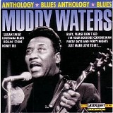 Muddy Waters - Anthology
