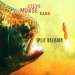Steve Morse Band - Split Decision