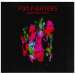 Foo Fighters - Wasting Light