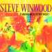 Steve Winwood - Talking Back To The Night