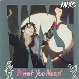 INXS - What You Need