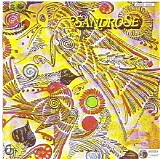 Sandrose - Same