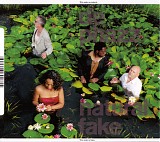 de-phazz - natural fake