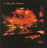 the cinematic orchestra - everyday