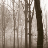 Blueneck - Scars of the Midwest