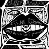 Fionn Regan - 100 acres of sycamore