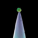 Peter Gabriel - New Blood