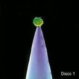 Peter Gabriel - New blood (Disco 1)